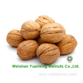reliable high quality low Chinese Walnut Kernels